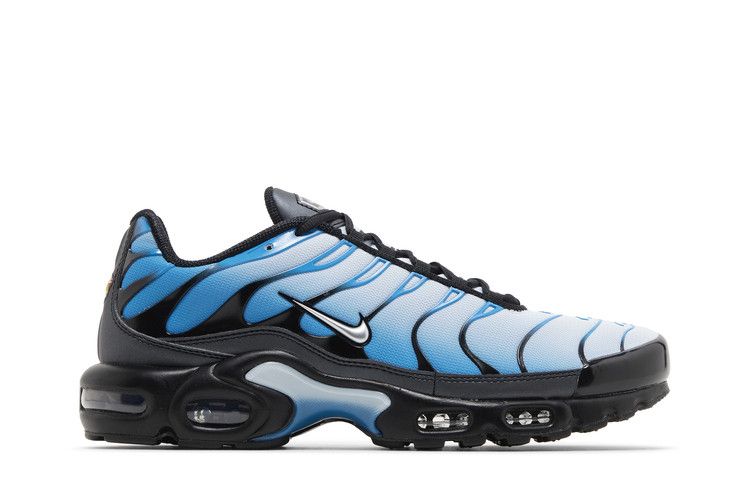 Nike Air Max Plus Blue Gradient  - FQ0204-010