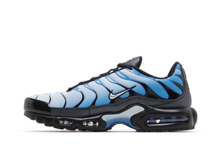 Nike Air Max Plus Blue Gradient  - FQ0204-010