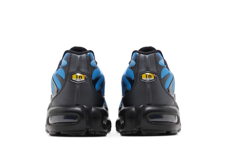 Nike Air Max Plus Blue Gradient  - FQ0204-010