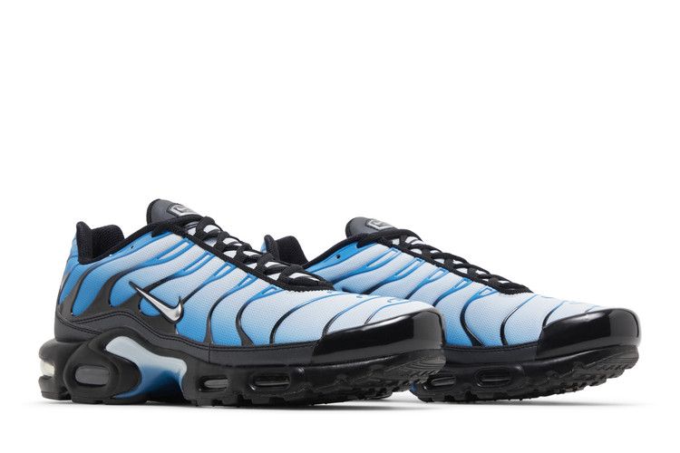 Nike Air Max Plus Blue Gradient  - FQ0204-010