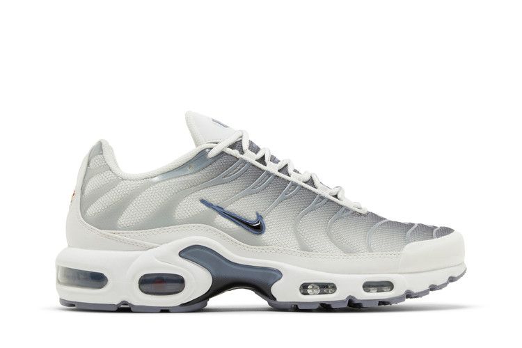 Nike Air Max Plus Smoke Grey Ashen Slate (W)  - FQ2892-100