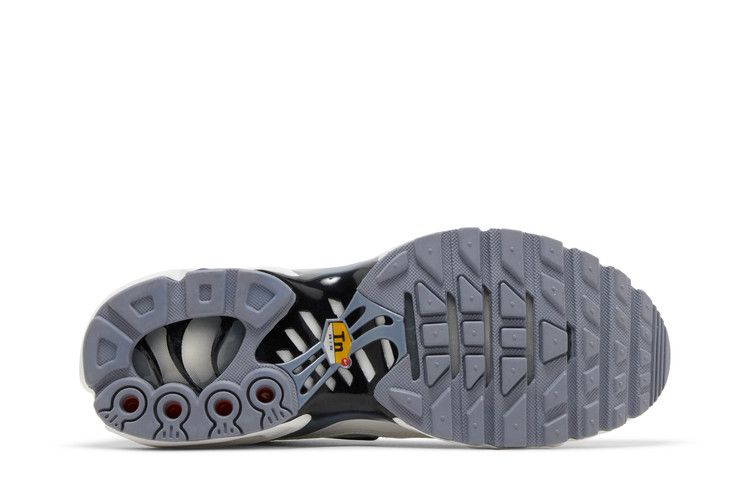 Nike Air Max Plus Smoke Grey Ashen Slate (W)  - FQ2892-100