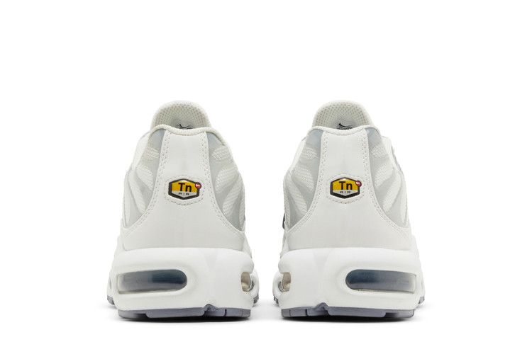 Nike Air Max Plus Smoke Grey Ashen Slate (W)  - FQ2892-100