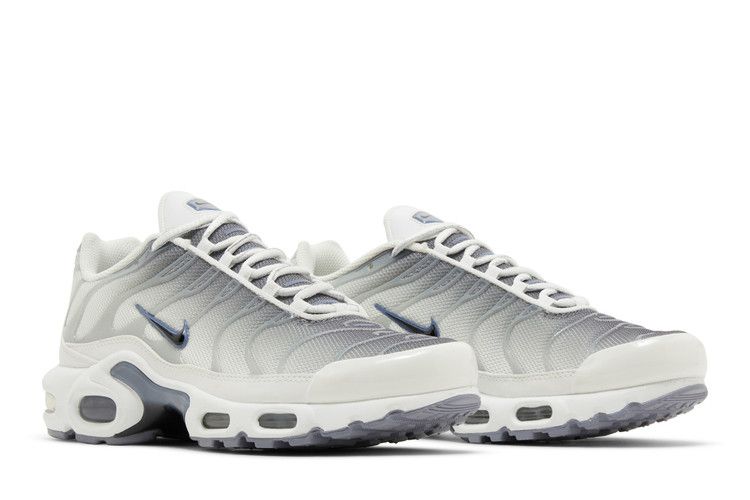 Nike Air Max Plus Smoke Grey Ashen Slate (W)  - FQ2892-100