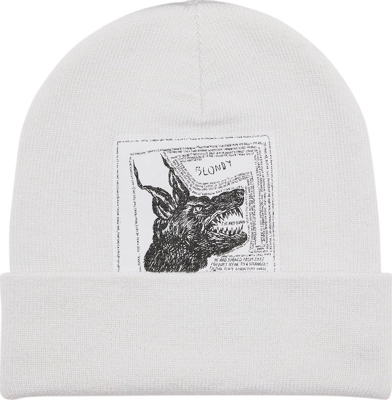 Supreme The North Face Beanie (FW24) White  - FW24TNFWhite